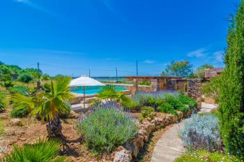 Pool, Garten und Terrasse