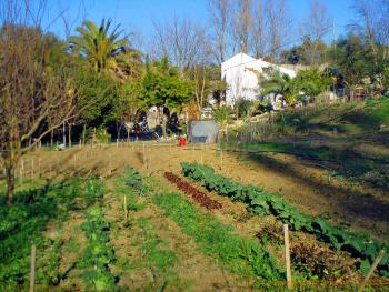Bio-Gartenbau