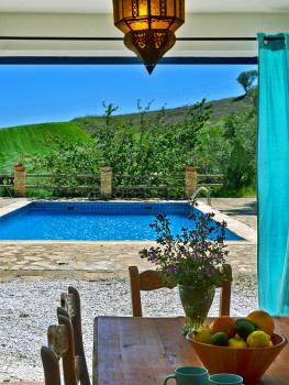 Blick auf Pool und Terrasse