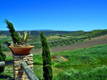 Ruhe und Natur genießen - Finca bei Ronda