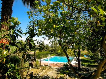 Pool im Garten