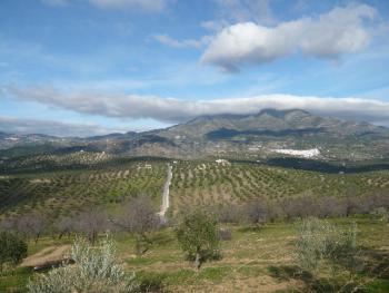 Weiße Dörfer Andalusiens