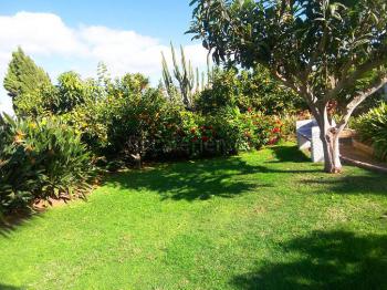 Gepflegtes Gartengrundstück