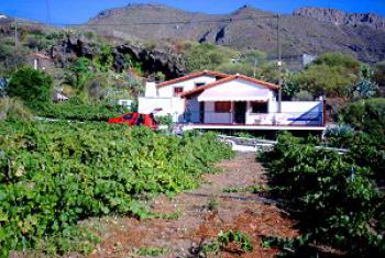 schönes Ferienhaus Teneriffa West bei Los Gigantes - die Aussenansicht