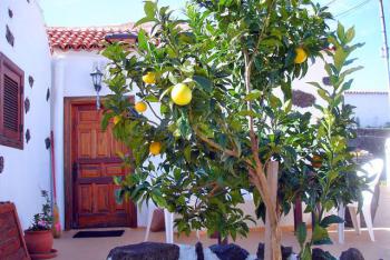 Finca Teneriffa mit Wlan