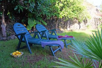 Garten mit Sonnenliegen - ideal zum Relaxen