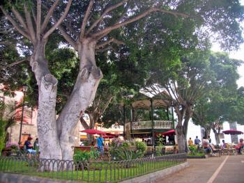Park in Garachico