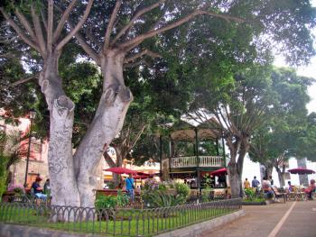 Park in Garachico